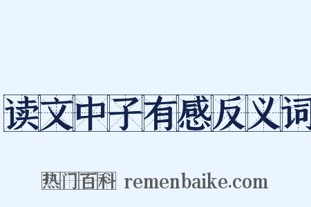 读文中子有感反义词是什么意思的图片